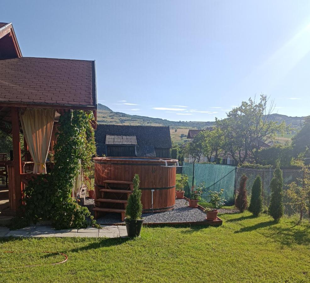 Narcisz B&B Corund  Dış mekan fotoğraf
