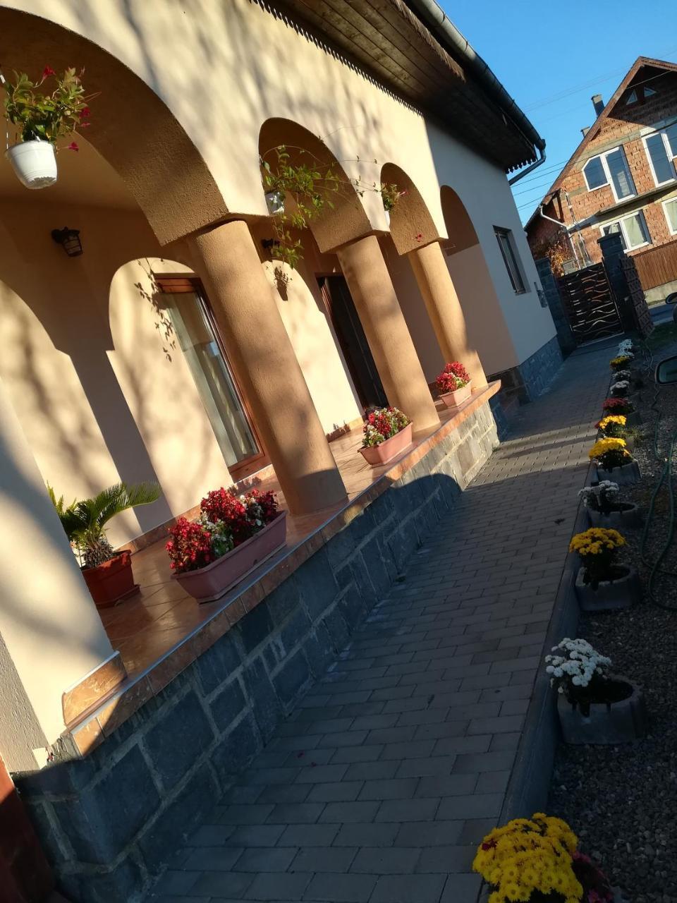 Narcisz B&B Corund  Dış mekan fotoğraf