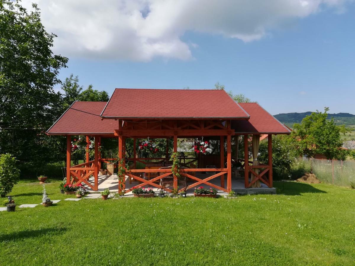 Narcisz B&B Corund  Dış mekan fotoğraf
