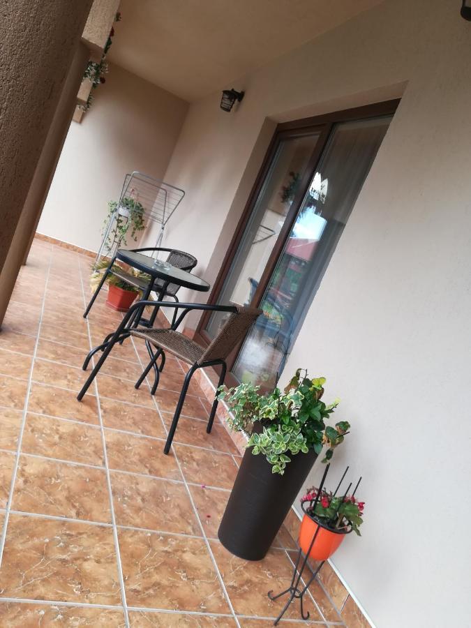 Narcisz B&B Corund  Dış mekan fotoğraf
