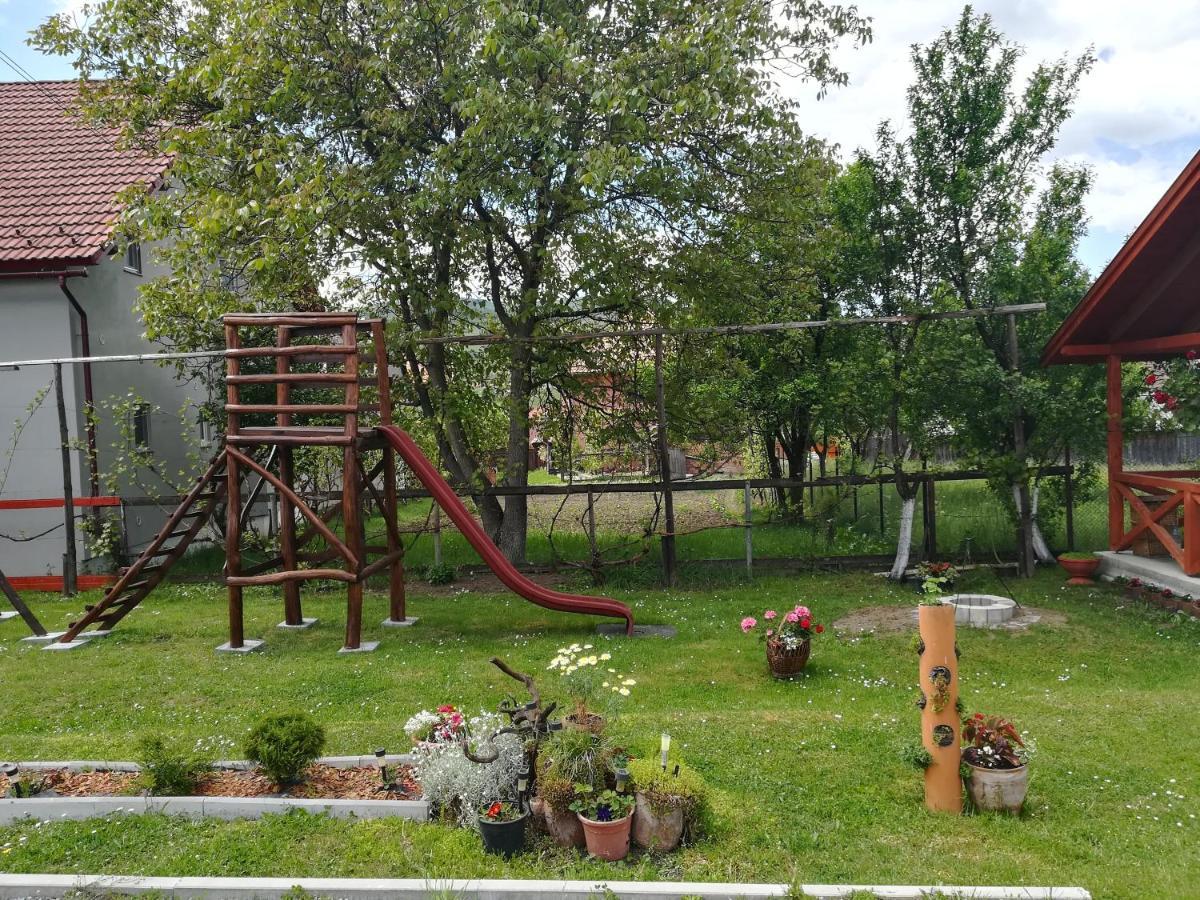 Narcisz B&B Corund  Dış mekan fotoğraf